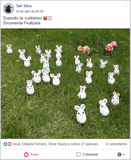 amigo rumi de coelho